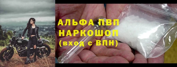 спиды Богданович