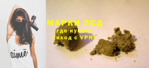 трава Богородицк