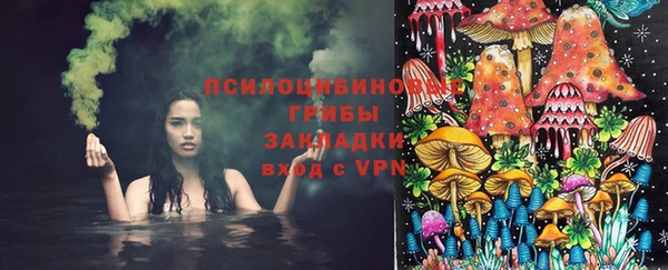 спиды Богданович