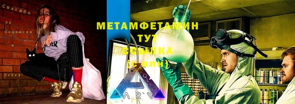 спиды Богданович