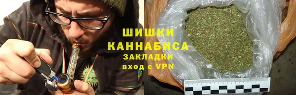 спиды Богданович