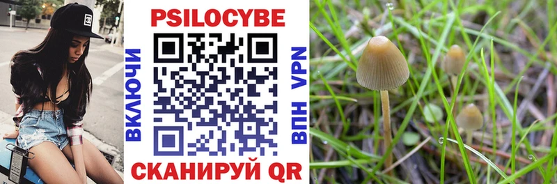 Псилоцибиновые грибы MAGIC MUSHROOMS  купить наркотик  площадка наркотические препараты  Борзя 